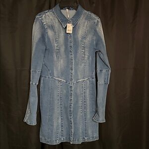 Free People Long Sleeve Denim Dress